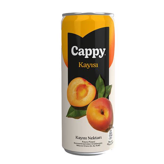 CAPPY KAYISI